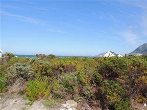 2218 m² Land available in Bettys Bay