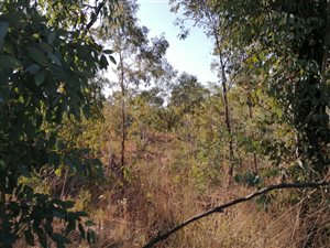 4.5 ha Land available in Walkers Fruit Farms
