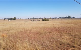 2.1 ha Land available in Homelands