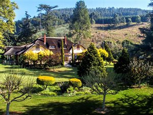 37 ha Farm in Howick
