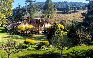 37 ha Farm in Howick