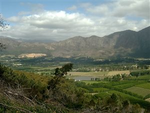 27 ha Farm in Franschhoek