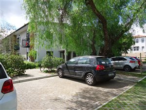 1 Bed Apartment in Universiteitsoord
