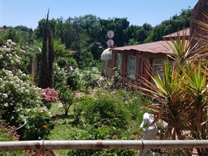 3 Bed House in Heidelberg Central