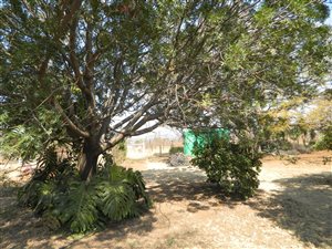 85653 ha Farm in Wonderboom