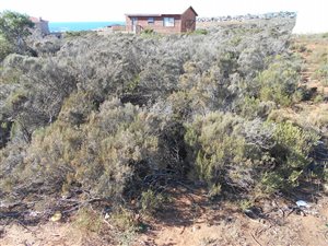 525 m² Land available in Mossel Bay
