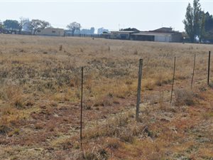 2.2 ha Land available in Homelands
