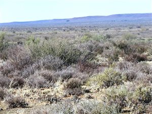 11032 ha Farm in Kenhardt