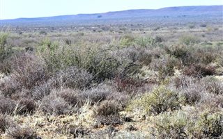 11032 ha Farm in Kenhardt