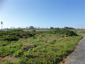 650 m² Land available in Golden Mile
