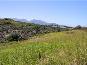 824 m² Land available in Welgelegen Estate