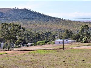 1103 m² Land available in Napier