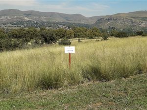 1400 m² Land available in Clarens