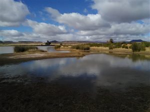 813 ha Farm in Aliwal North