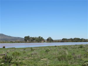 813 ha Farm in Aliwal North