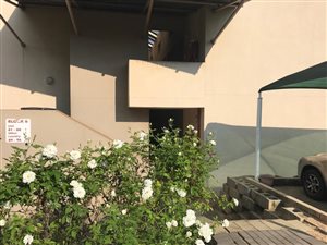 1 Bed Apartment in Glen Austin