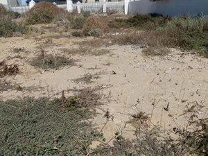 426 m² Land available in Blue Lagoon