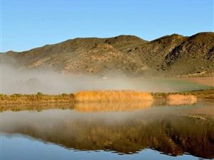 590 ha Farm in Barrydale