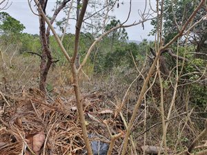 9764 m² Land available in St Michaels on Sea