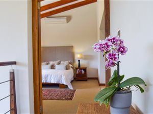 4 Bed House in Brandwacht