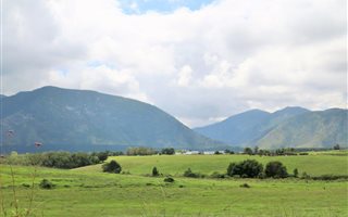 8.5 ha Farm in Tsitsikamma