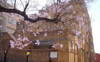 2 Bedroom Flat in Arcadia