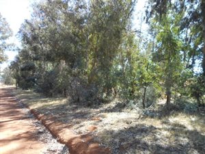 4 ha Land available in De Deur
