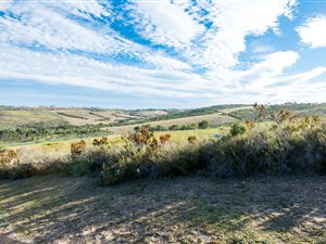 1494 m² Land available in Brackenridge