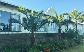 4 Bedroom House in Wilro Park