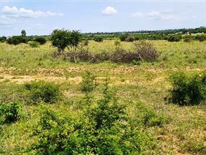 5.2 ha Land available in Grootvlei AH