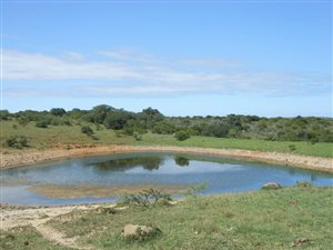 554 ha Farm in Alexandria