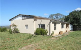 554 ha Farm in Alexandria