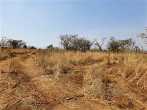 609 m² Land available in Elawini Lifestyle Estate