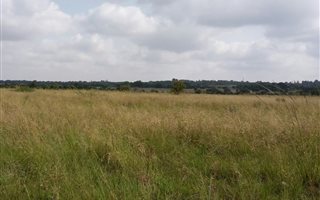 8.5 ha Land available in Onderstepoort