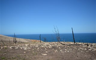 11 ha Farm in Plettenberg Bay