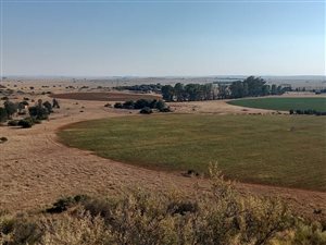 60 ha Farm in Petrusburg