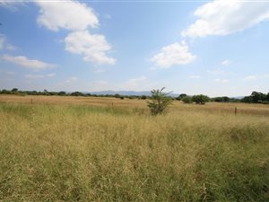 71 ha Farm in Bela-Bela (Warmbaths)