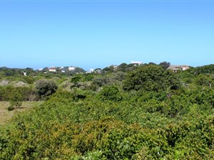 814 m² Land available in Forest Downs