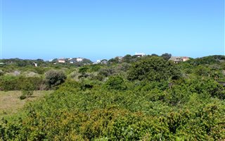 814 m² Land available in Forest Downs