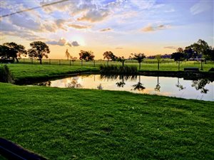 8.6 ha Farm in Krugersdorp Central