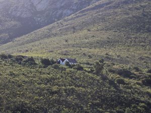 43 ha Farm in Joubertina