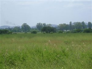 4.2 ha Farm in Kroondal