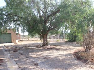 803 m² Land available in Willowmore
