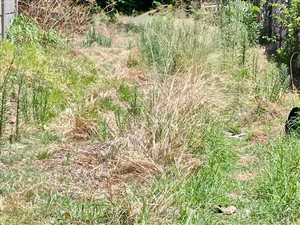 581 m² Land available in Bergsig