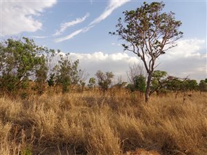 1554 m² Land available in Roodeplaat
