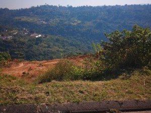 4507 m² Land available in Wyebank