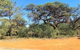 924 m² Land available in Kathu