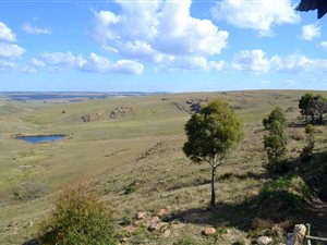60 ha Farm in Dullstroom