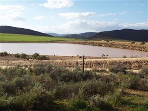 430 ha Farm in Montagu