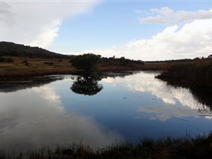 76 ha Farm in Dullstroom